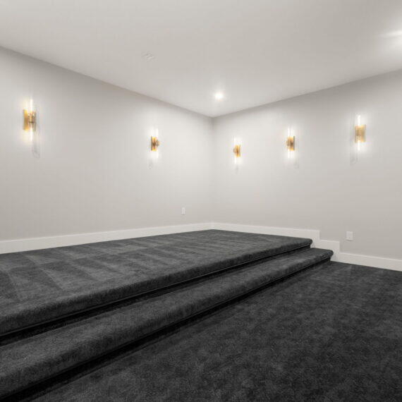 CAPSTONE DESIGN + BUILD